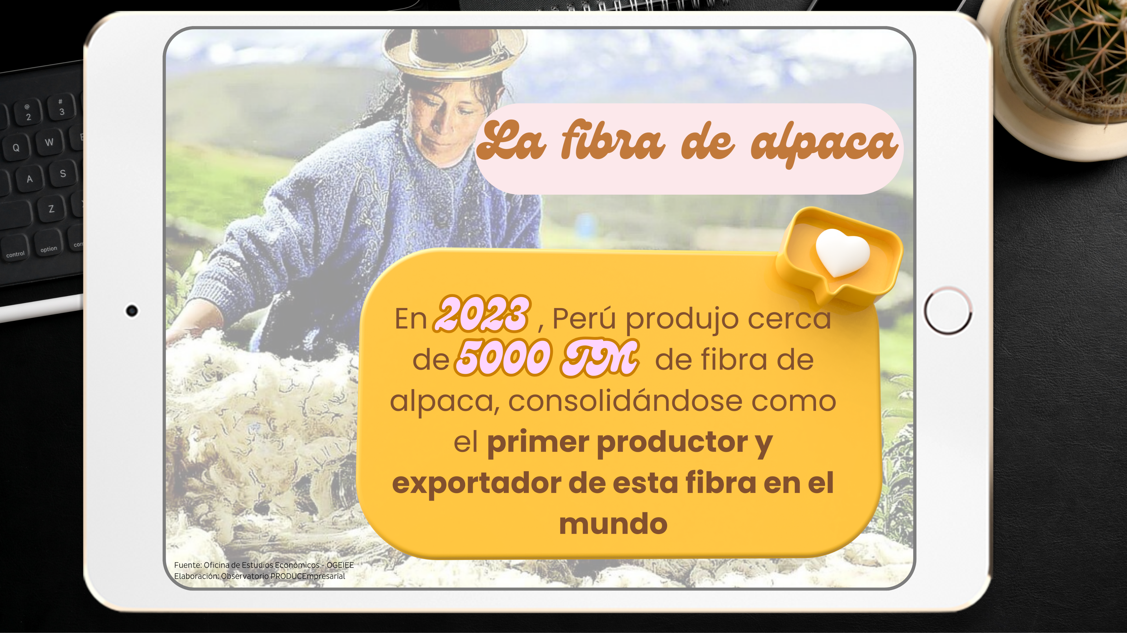 La fibra de alpaca - 1