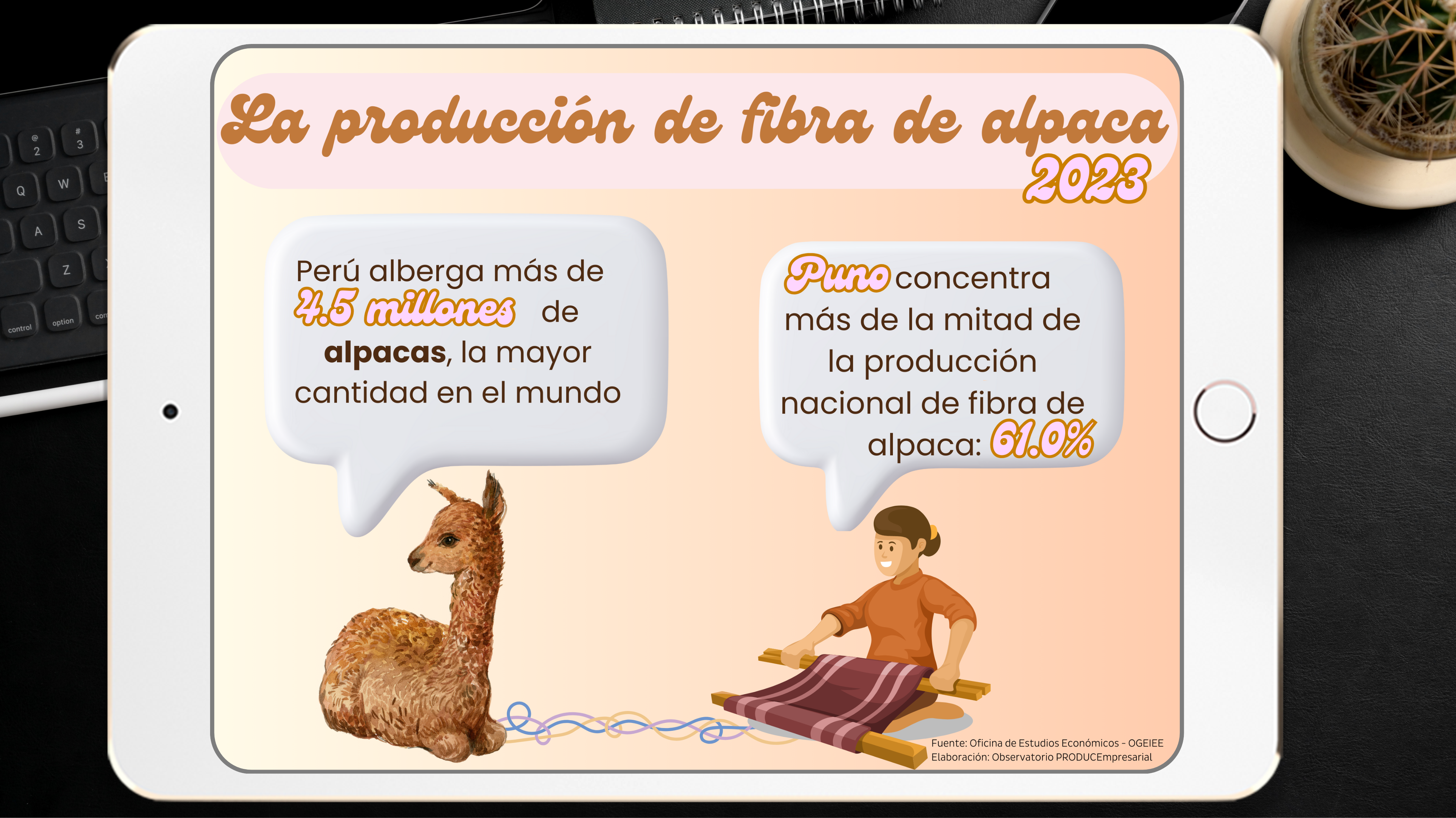 La producción de fibra de alpaca -2