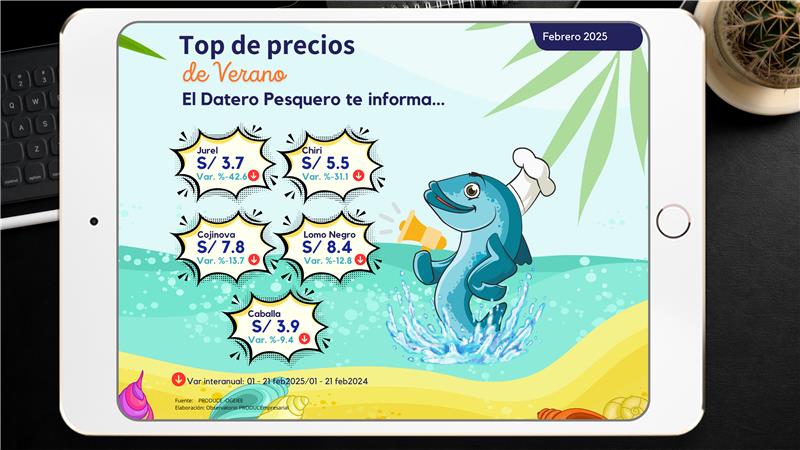 imagen (4)